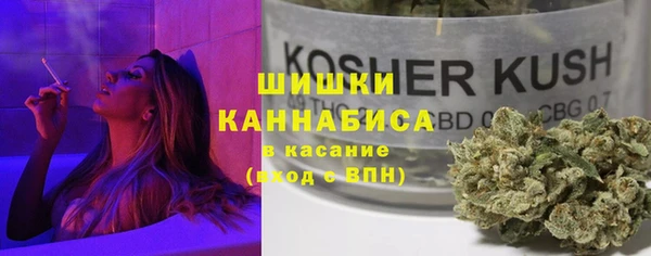 apvp Вязьма