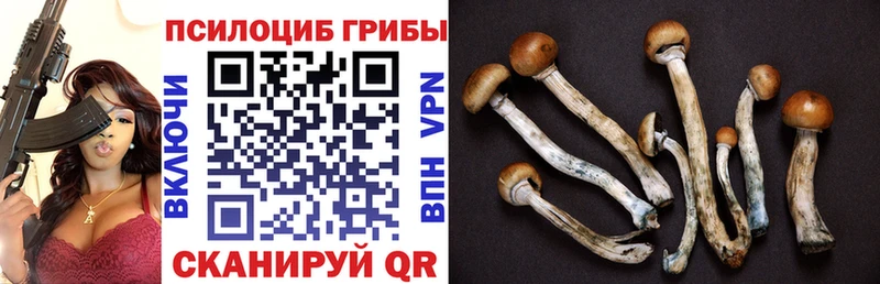 Купить закладки  Полесск  Галлюциногенные грибы мухоморы 