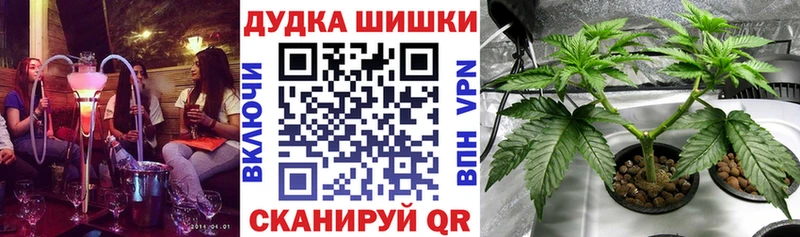 Бошки марихуана Amnesia Полесск